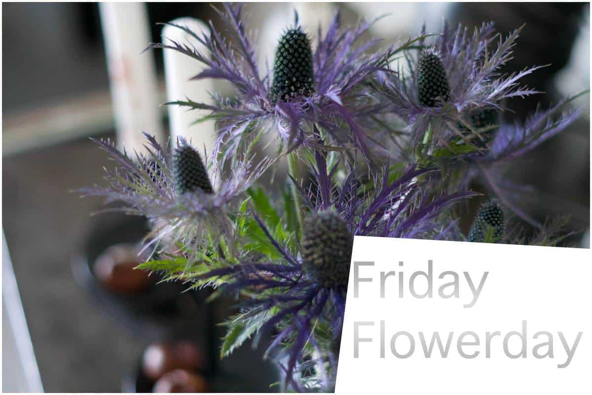 Friday-Flowerday-elkevoss.de